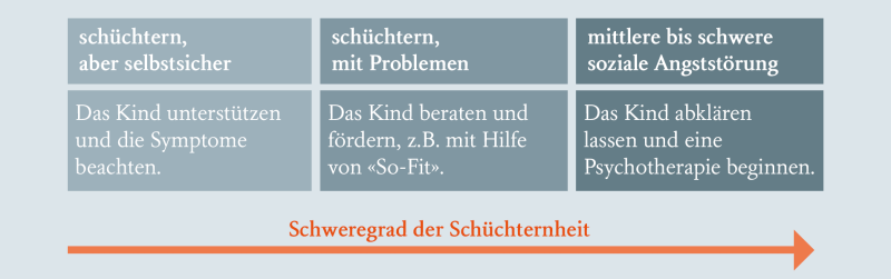 abgebildet sind sechs Dimensionen, die sich nach Schweregrad der Schüchterheit unterscheiden