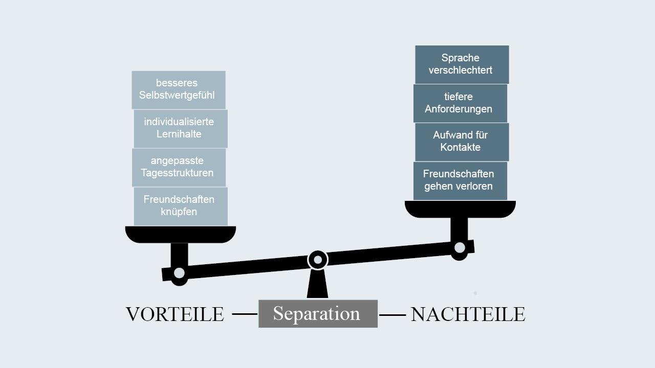 Die Abbildung zeigt Vorteile sowie Nachteile der Separation.