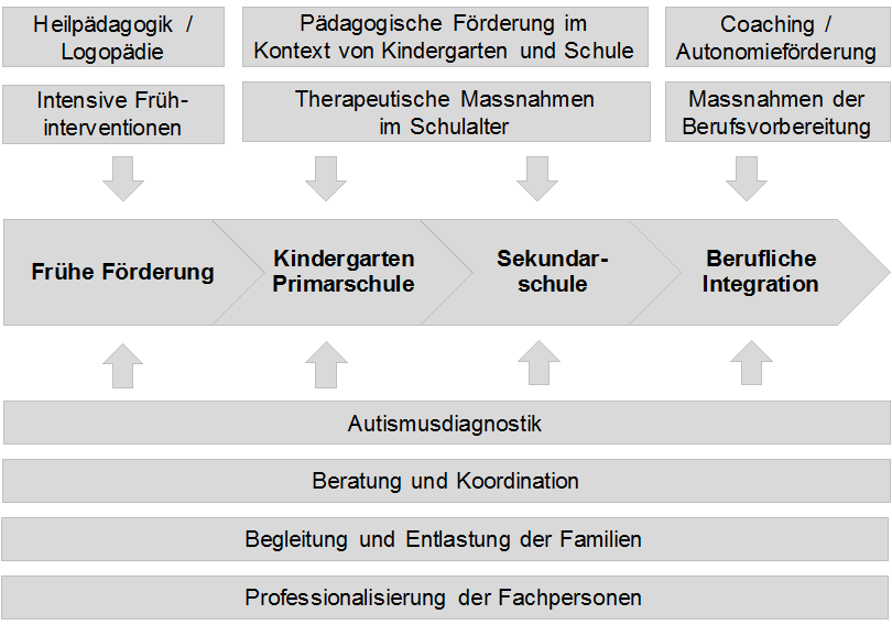 Abbildung 1: Handlungsfelder der Förderung und Begleitung von Kindern und Jugendlichen mit ASS